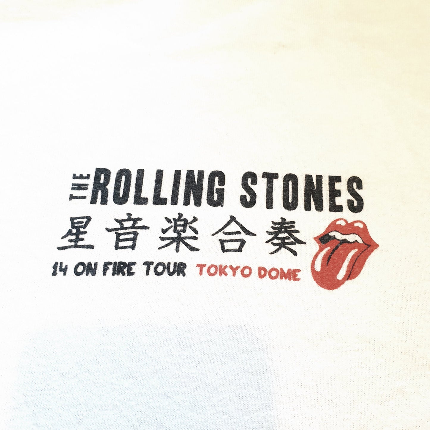 The Rollins Stones T-Shirt M